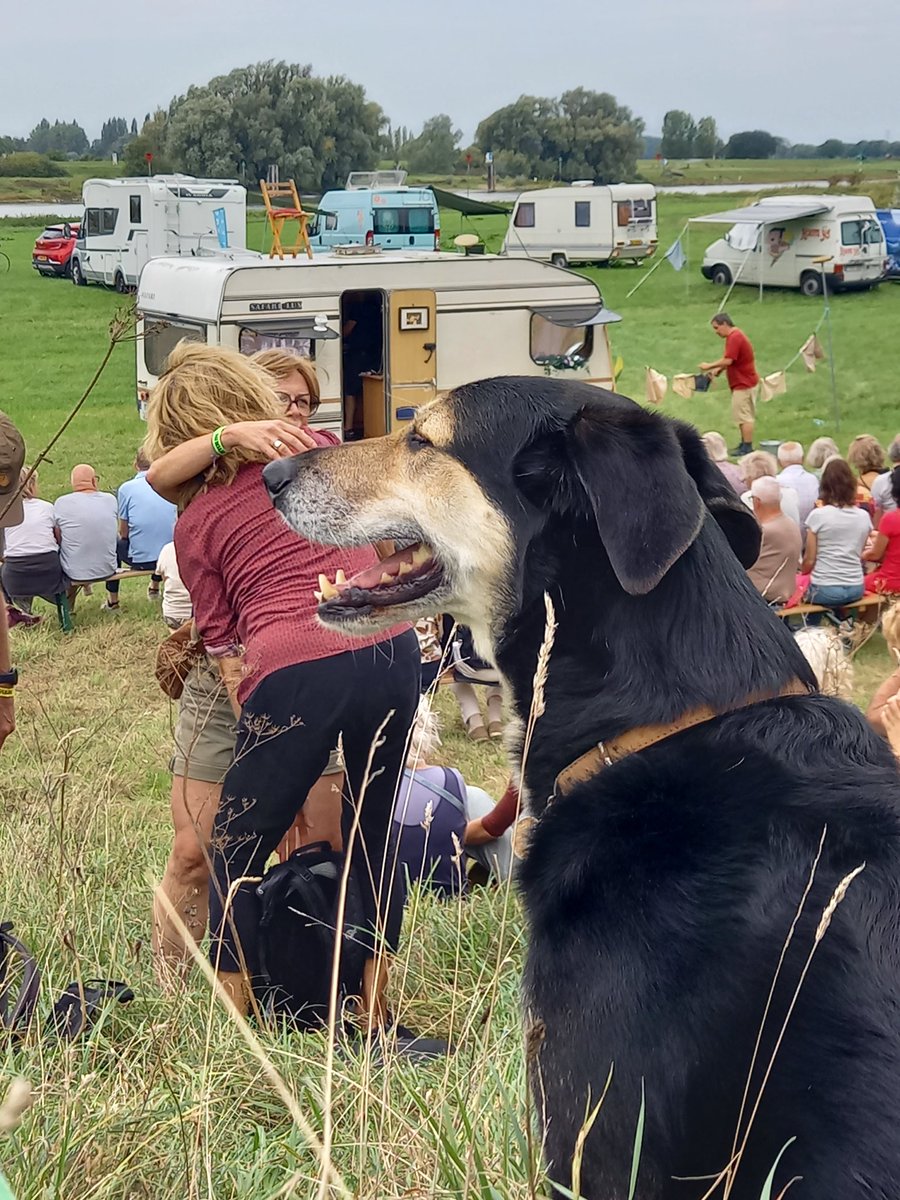 Iena Redeker tweet media