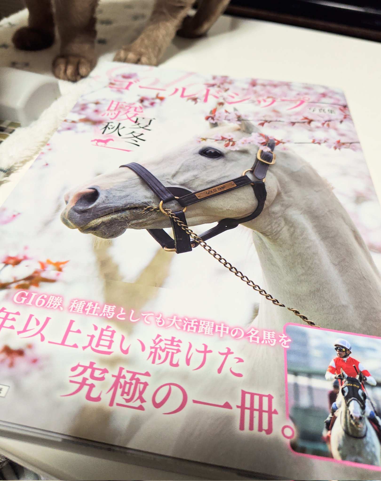 M*i様 ゴールドシップ　写真集&DVD 黄金の帆を掲げて ゴールドシップ写真集 駿夏秋冬 | 競馬王編集部 |本 | 通販 | Amazon
