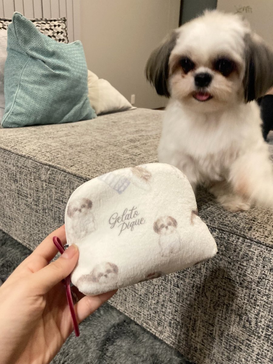 iamoreokun's tweet photo. ジェラピケのシーズーちゃんのポーチとハンカチゲット🥹かわいい🥹 https://t.co/djpMV4eIgi