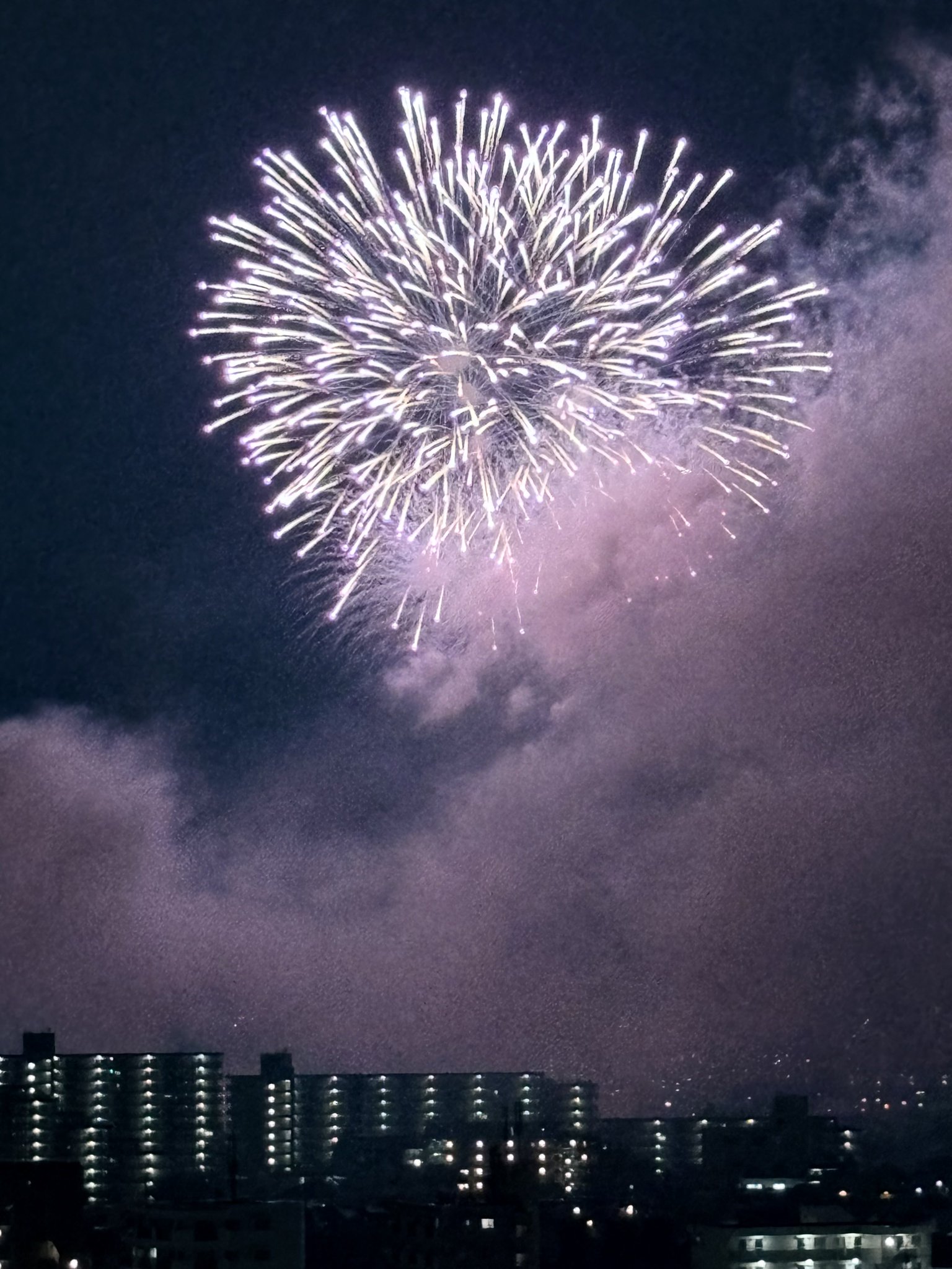 花火＊無言可 世田谷の川探検隊 🐿 on X: 