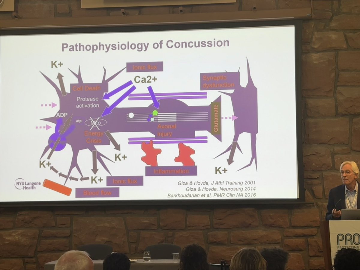Sports Psych Hub tweet media