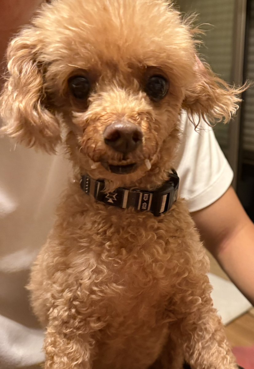 ツマミ食い 口の両わきに ごはん粒付いてるよー 笑