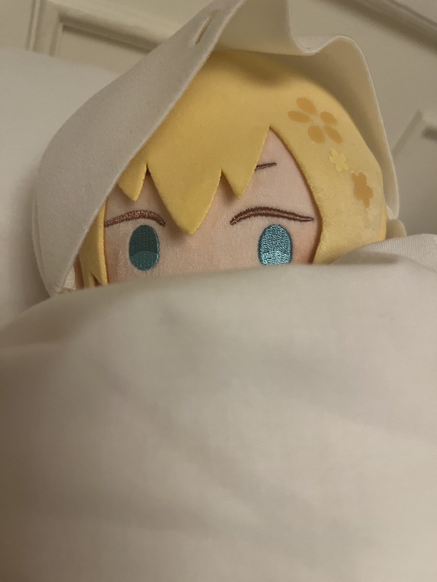 nyao2_2's tweet photo. 「ふむ、泊まりでやることといったら1つしかないだろう。恋話だ。昔は相手のことを⸺」
「俺はもう寝る」

……数分後……

（もぞり……）
「…起きたかい？　まったく、人の話の途中だろう？」

#わんぱく買ってないひとにわんぱく買いたくさせるような写真 https://t.co/pFTY8UDsHW