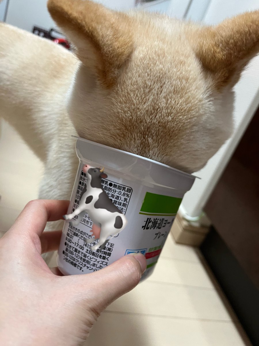 もう空っぽだけど舐めて綺麗にしてる