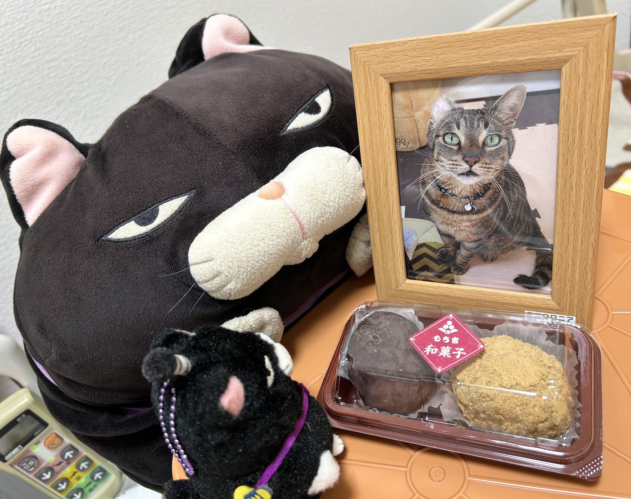 モグニャン　未開封　3袋　おまけ付き モグニャン 未開封 3袋 おまけ付き 未開封 3袋】mog nyan