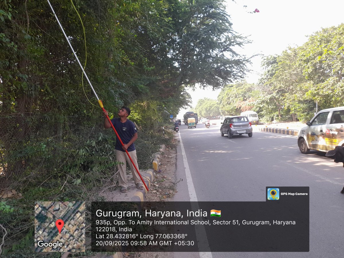 OfficialGMDA's tweet photo. 🌿Clear paths, greener belts!
GMDA teams are pruning, weeding & removing overgrowth along Sector 51 master road to keep your city walkways safe & beautiful.
#GreenGurugram #CleanCity #MaintenanceWorks
@DC_Gurugram @MunCorpGurugram https://t.co/2PzGEf0HJq