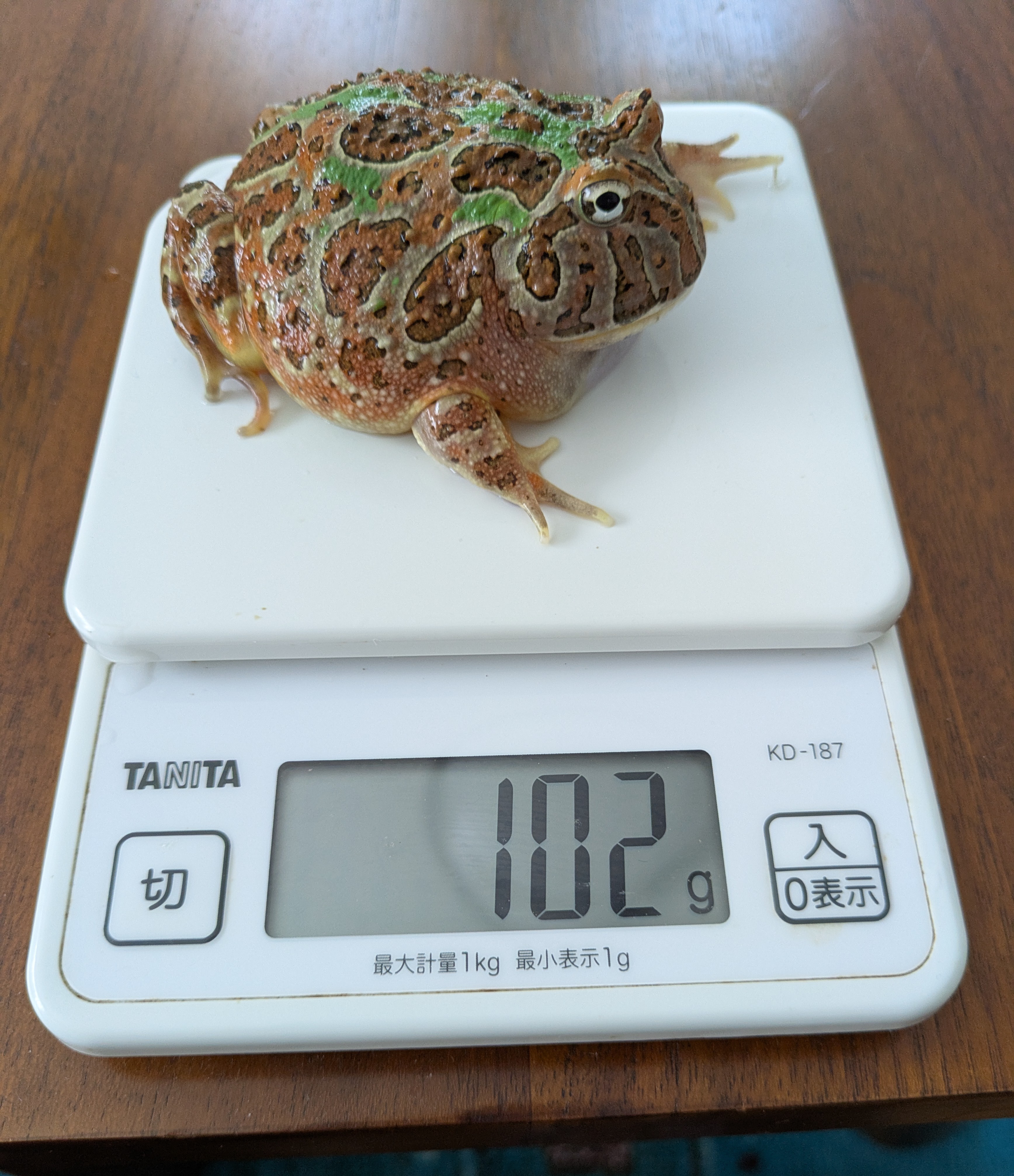 えりお on X: 