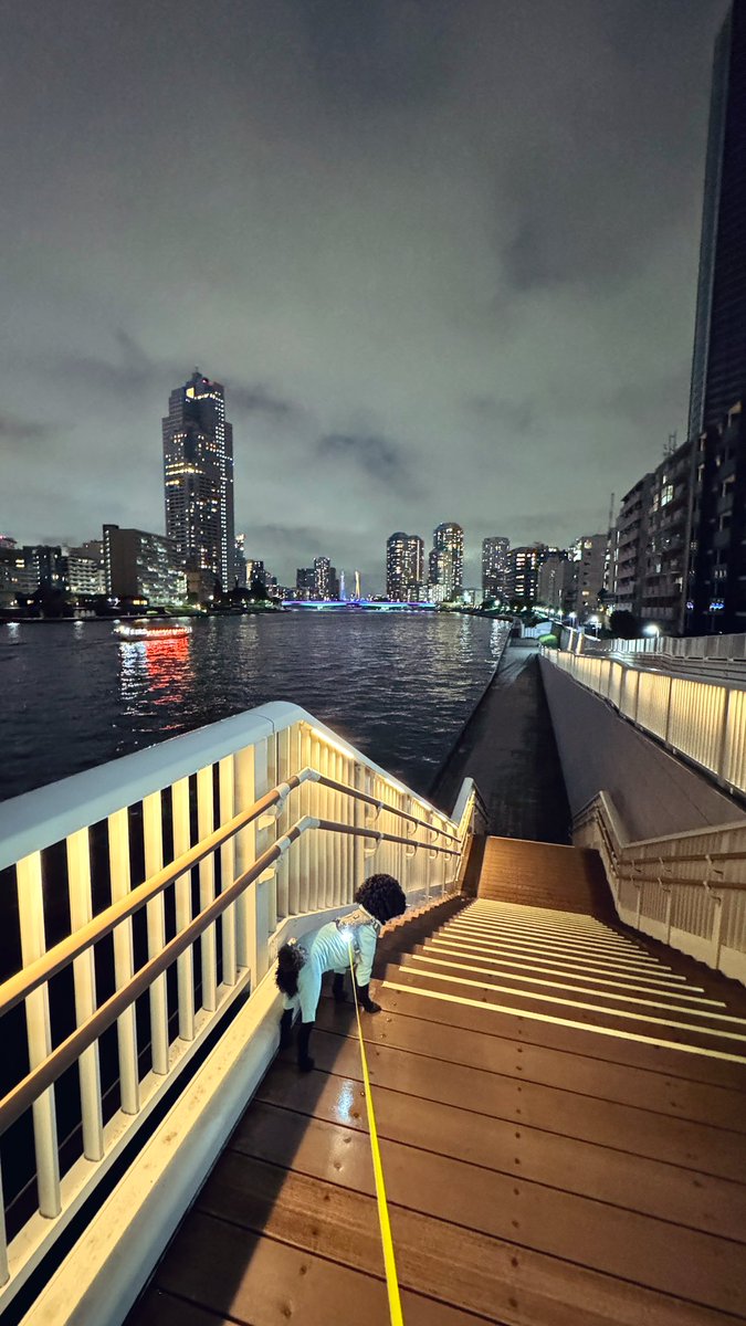 雨_黒トイプードル🐕‍🦺 (@atoypoo) on Twitter photo 