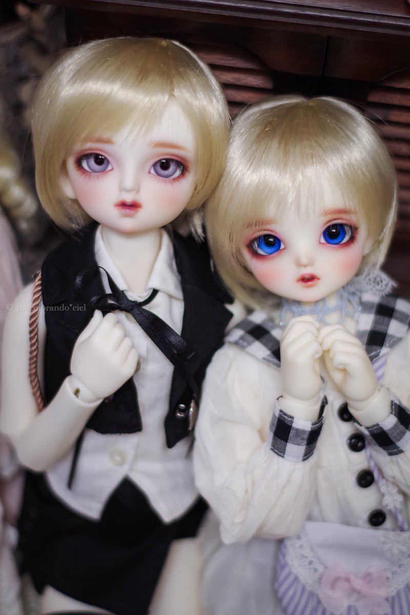 _mormorando_'s tweet photo. #フルチョお迎え報告
7月29日にオーダーしてなんと53日🫨で来てくれたコトリと千晴のお友達。
#SDM18 男の子 ほたるです✨
届くの来月かなと思って完全に油断してました🫠ようこそ我が家へ🏠 https://t.co/vKP8b8OgAx