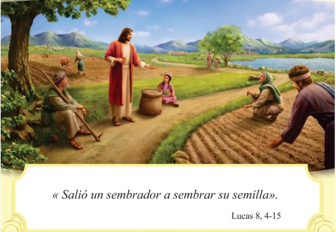 PadrEdwin's tweet image. #Evangeliodehoy Sábado  20/09  Lucas 8,4-15: La semilla que cayó en tierra fértil, son los que dan fruto.

Señor Jesús ve a mi, ven a este mundo, danos tu amor y paz, quiero recibirte cada dia con amor en tu palabra, la Santa Comunión y en el prójimo, amen #DivinoNiño #PadrEdwin