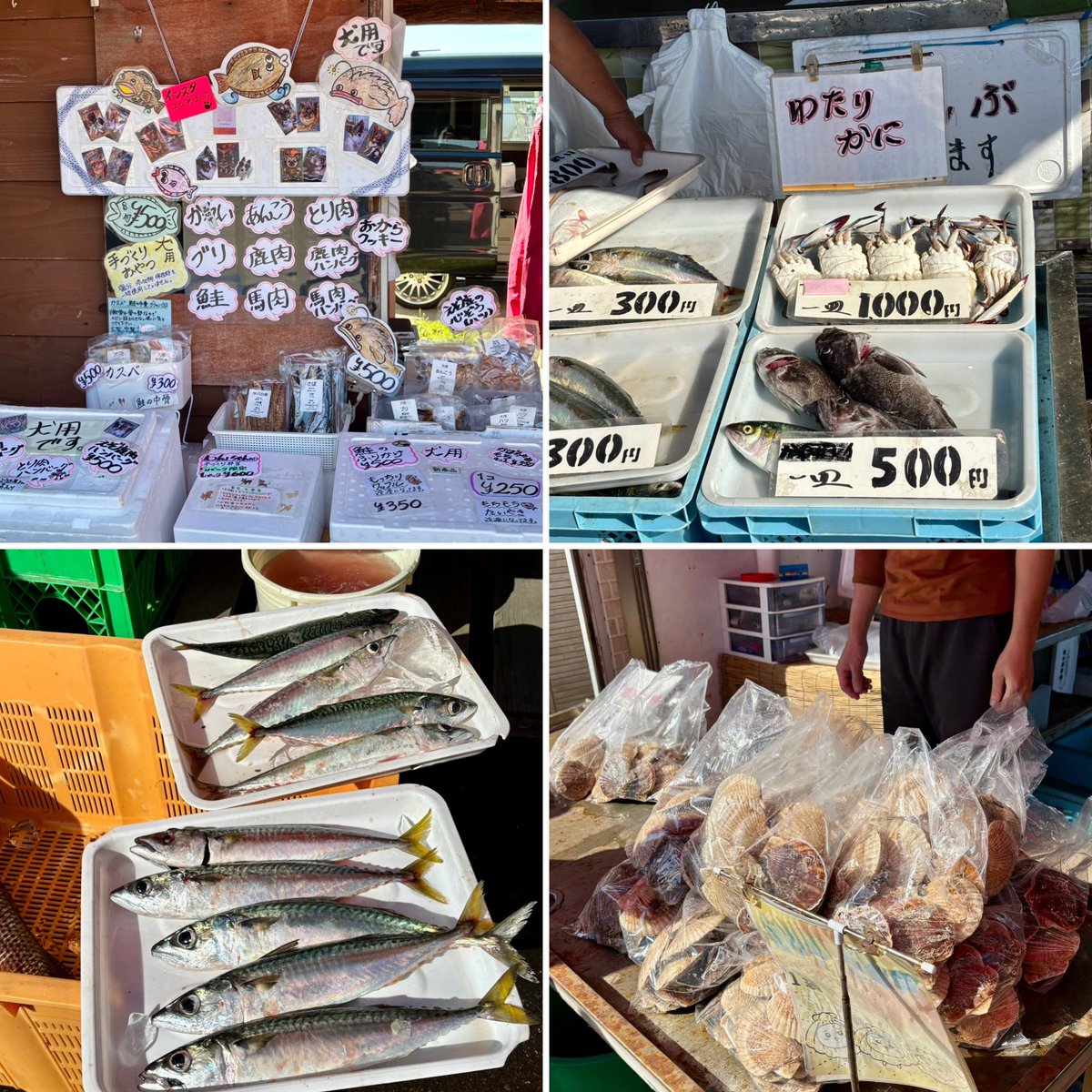 kitten_holic's tweet photo. 早起きして石狩市・厚田港の朝市へ🚗💨
海の香りに包まれて、新鮮なお魚をたくさんゲット🐟✨
やっぱり港の朝市は活気があって気持ちいい！
2025.9.15
#猫 #虹の橋を渡った猫 #厚田港朝市 
#石狩 #北海道の恵み #新鮮なお魚 
#朝市の楽しみ https://t.co/vBJqKasaw8
