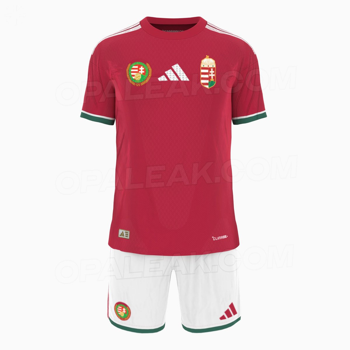 wither_126's tweet photo. 🇭🇺So what do you think?👕
#Hungary #magyarország #MLSZ #football https://t.co/5T2zshbo3y