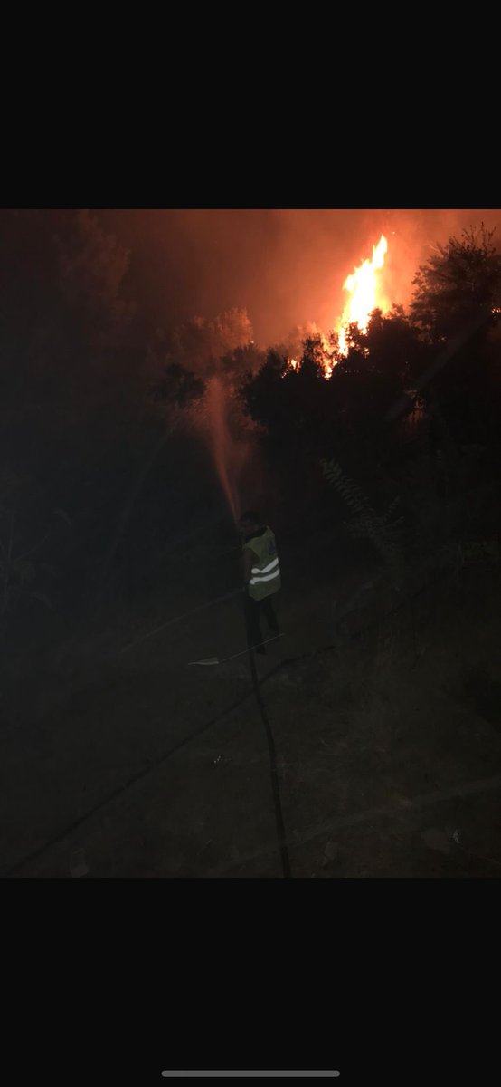 LutfuNebioglu's tweet photo. Dün Antalyada yangınla mücadele esnasında kolunu kırarak yaralanan Alanya İlçe Başkan Yardımcımız Sebahattin Baran Evren kardeşimize geçmiş olsun dileklerimizi iletiyor, 

Rabbimden acil şifalar diliyoruz. 🌲🇹🇷 https://t.co/bGg4Vy7j4k