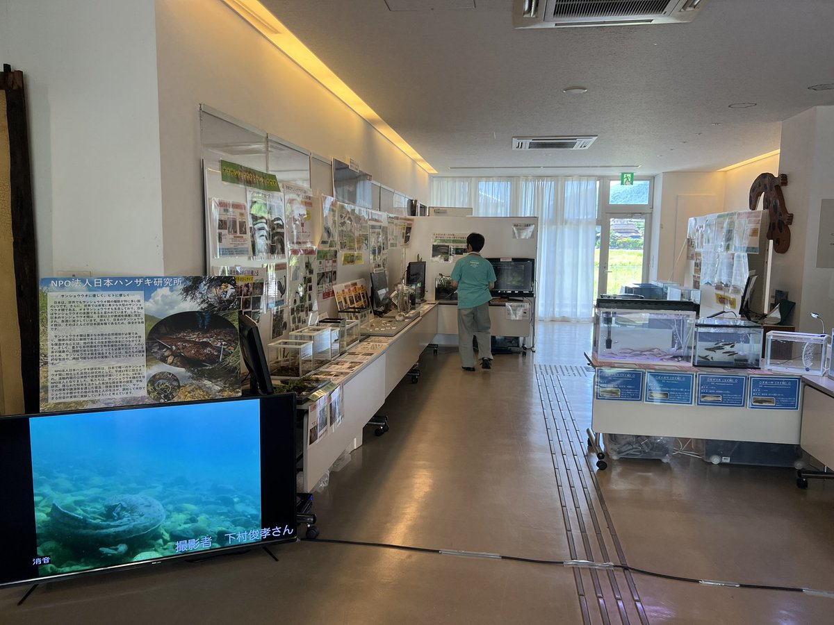 NPO法人日本ハンザキ研究所【公式】 (@NPO_hanzaki_H20) / Posts / X