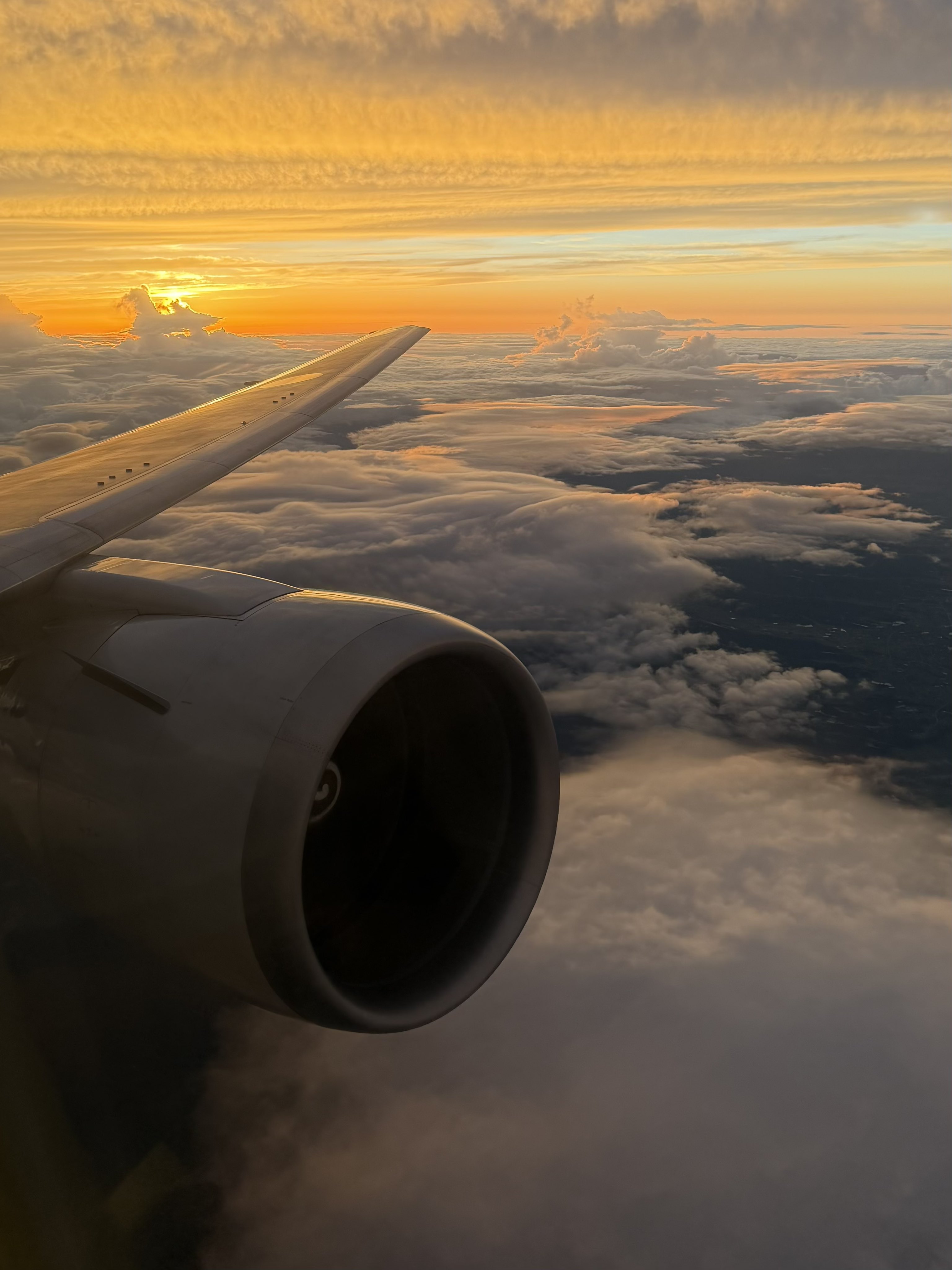 ロイズ・アンティークス　Airplane Photo B 壁掛け  飛行機 額縁 ロイズ・アンティークス Airplane Photo B 壁掛け 飛行機 額縁
