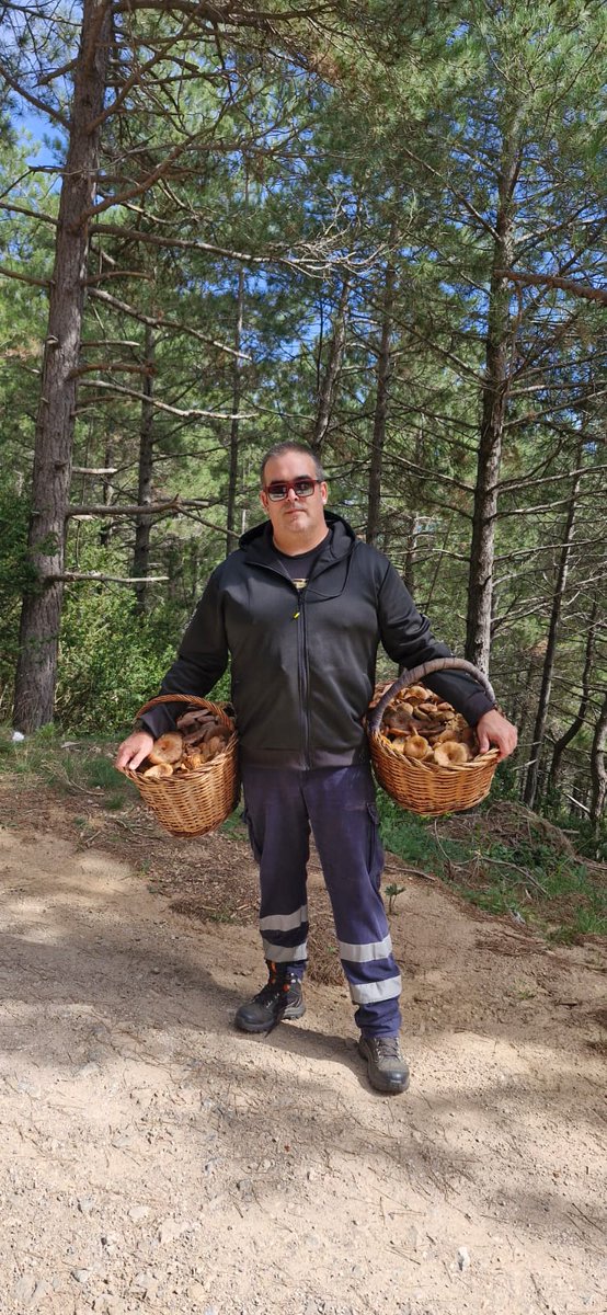 BEXACION's tweet image. Empezamos tarde la temporada de setas, pero empezamos bien