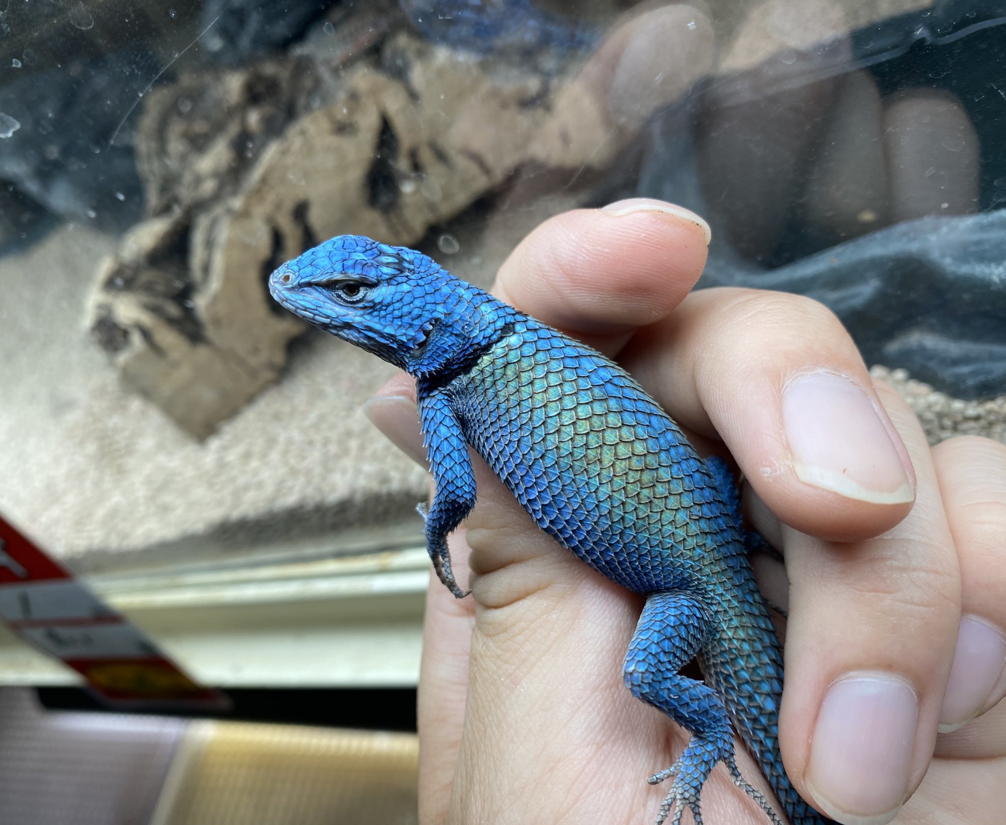 【ダーツ三昧】カルメットファーム17年& 7年 Small Batch ブーツ・紳士靴 - 靴工房MAMMA【公式ページ】(Shoemeker MAMMA)