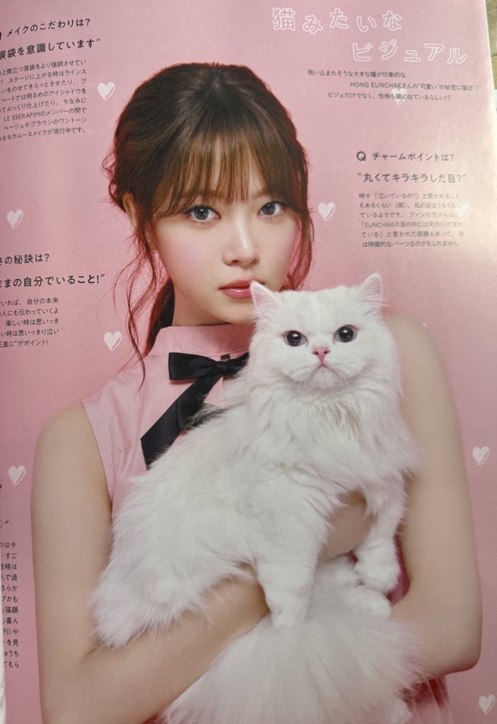 echaerubim's tweet image. hong eunchae for non-no magazine 

pics © _ha3rin
#HONGEUNCHAE #홍은채