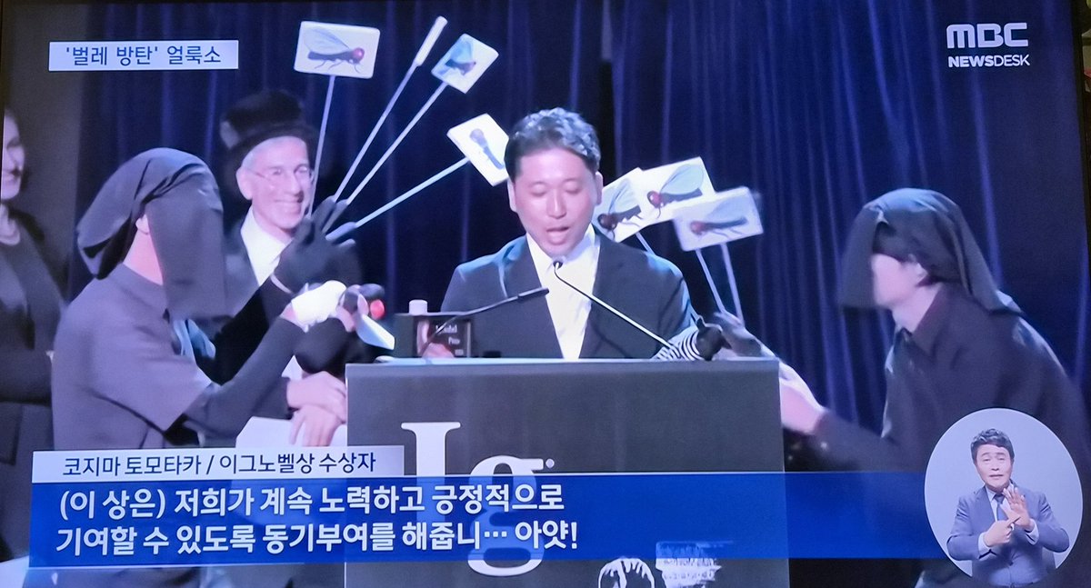 이 뉴스 재미있네ㅎ
웬 페인트로 소에다 줄무늬 그려놨길래 누가 또 동물학대하냐 했더니...
검은소에 흰줄무니만 그려도 파리 괴롭힘이 줄어든다고ㅎ
얼룩말 보고 아이디어를 얻었대.
이그노벨상 수상장면도 유쾌하다.
수상자에게 달려드는 파리들ㅎㅎ