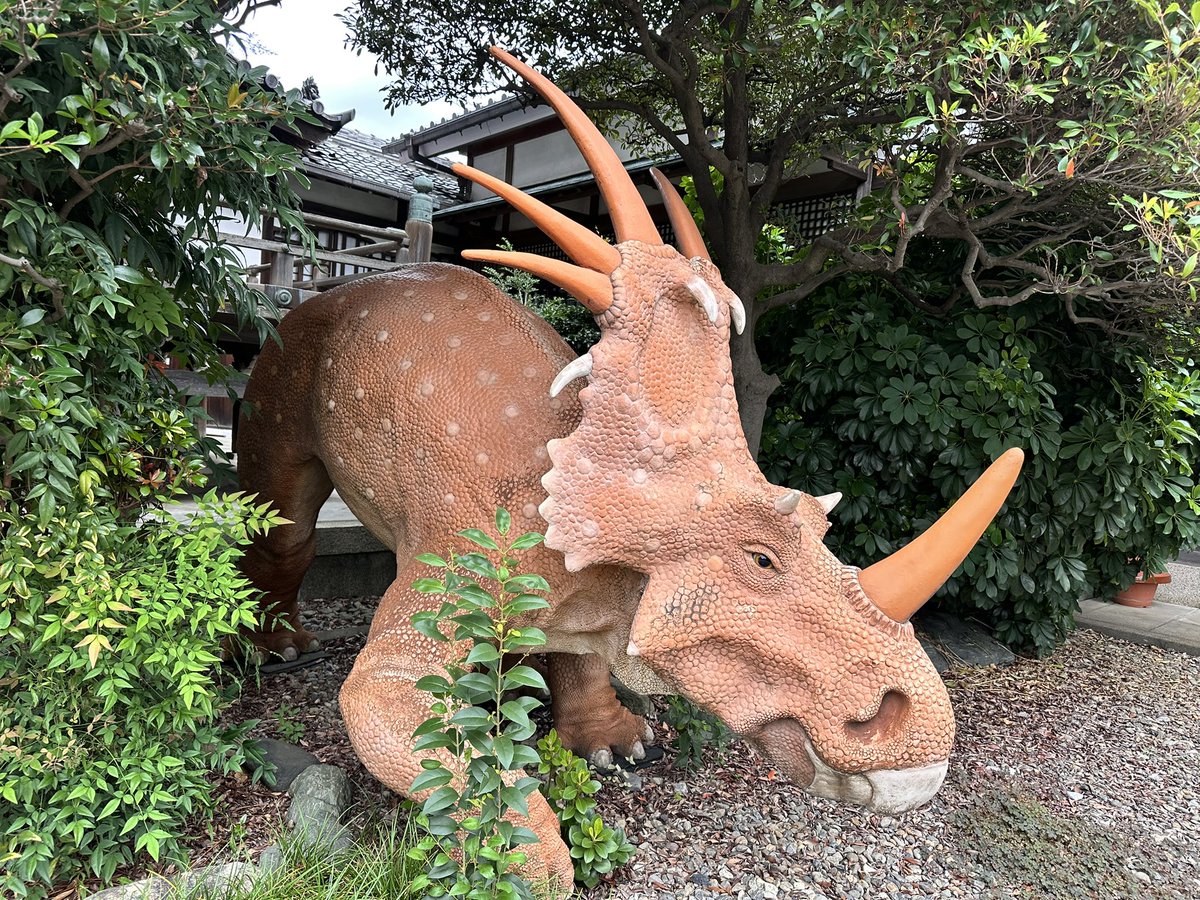 ferdalangurinn tweet media