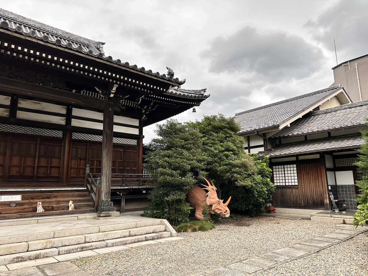 ferdalangurinn tweet media