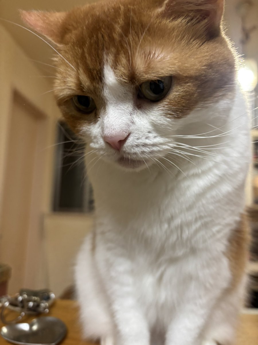 Hiroyasu Kagami tweet media