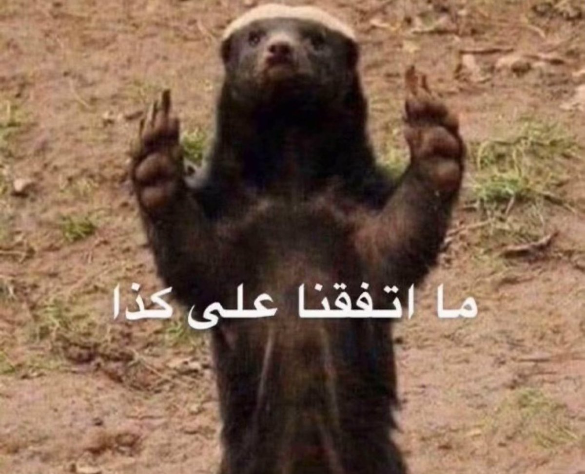 Abu mohmmed 🇸🇦 tweet media