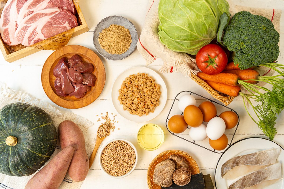 2年以上かけて開発した『わんこ想い』がついに正式販売されました！！

わんこ想い購入サイトはこちら▼
tinyurl.com/4cvazs4a