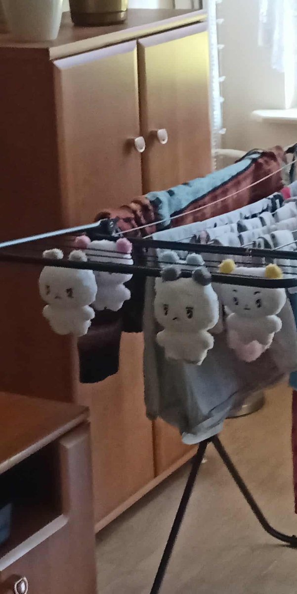 ashplli's tweet image. They survived