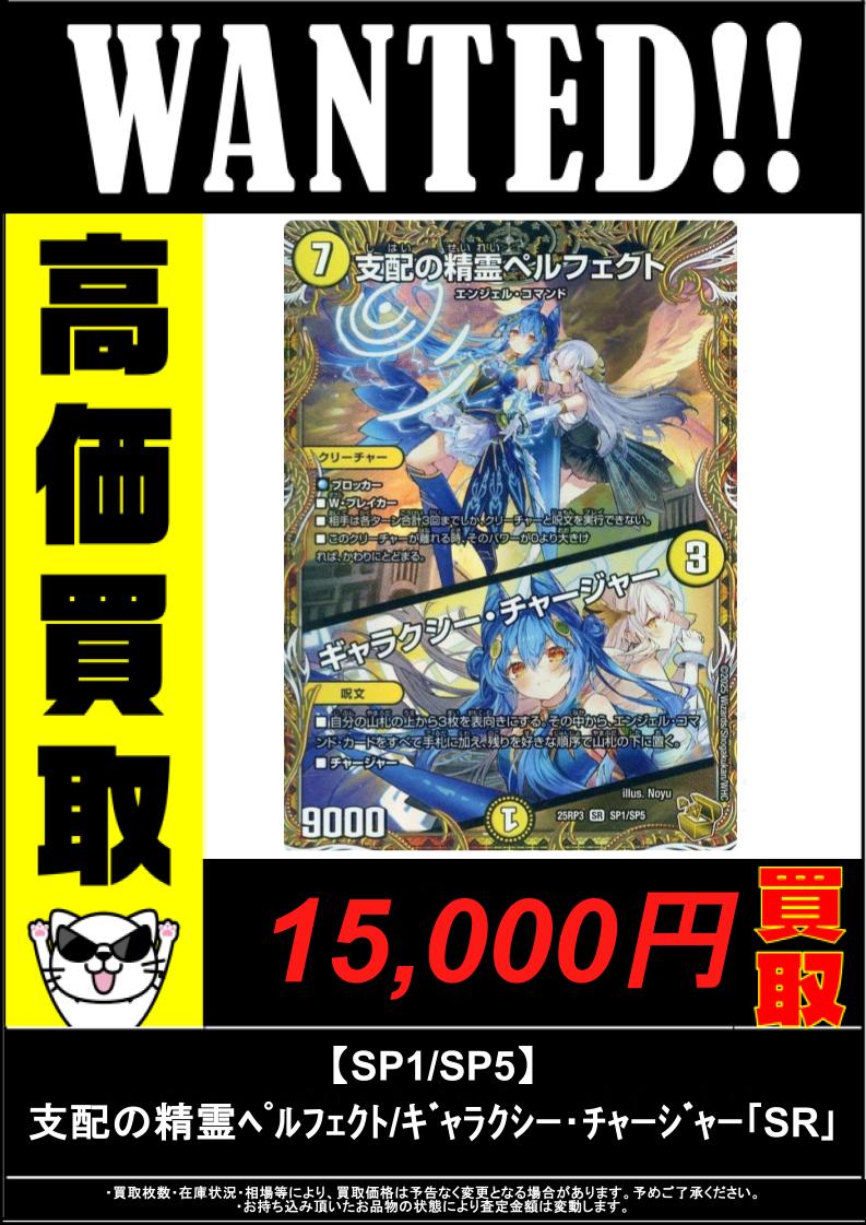 デュエマ【支配の精霊ペルフェクト/ギャラクシーチャージャー】SP1/SP5 支配の精霊ペルフェクト／ギャラクシー・チャージャー》（SP1