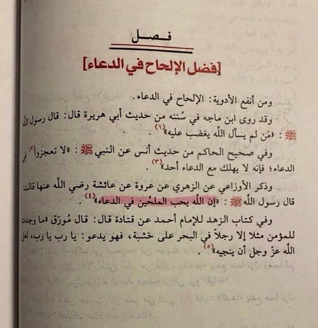 منبه الحوقلة tweet media