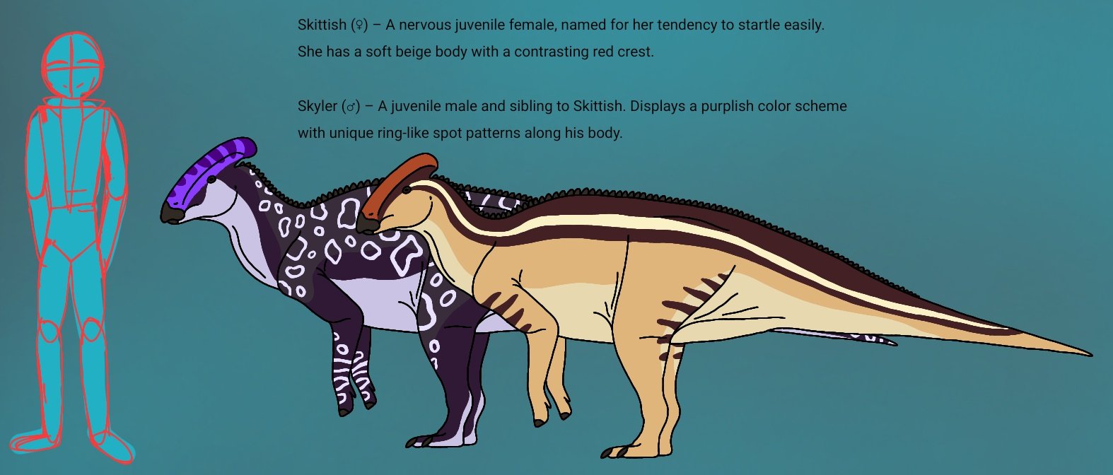 今年もアオバズク来る❢ 2024.6.2 今年もアオバズク来る❢ 2024.6.2