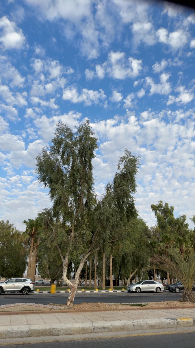 zd610's tweet photo. ي ديرةٍ وسط الضلوع معموره 
سكانها بين القوافي و الالحان
أن كان يحكم دارنا اخوان نوره
حبه يحكم ضلوع صدري والاركان
رسمت له في داخل الشعر صوره
في بحور شعري صار مينا وربان
هذا ترا قافي وحبه يدوره
يجني من اللي طاب لولو ومرجان
وان كان حكم القلب زدتي بجوره
مايردع اشعاري محاكم وسجان https://t.co/Wobw1YJGmS