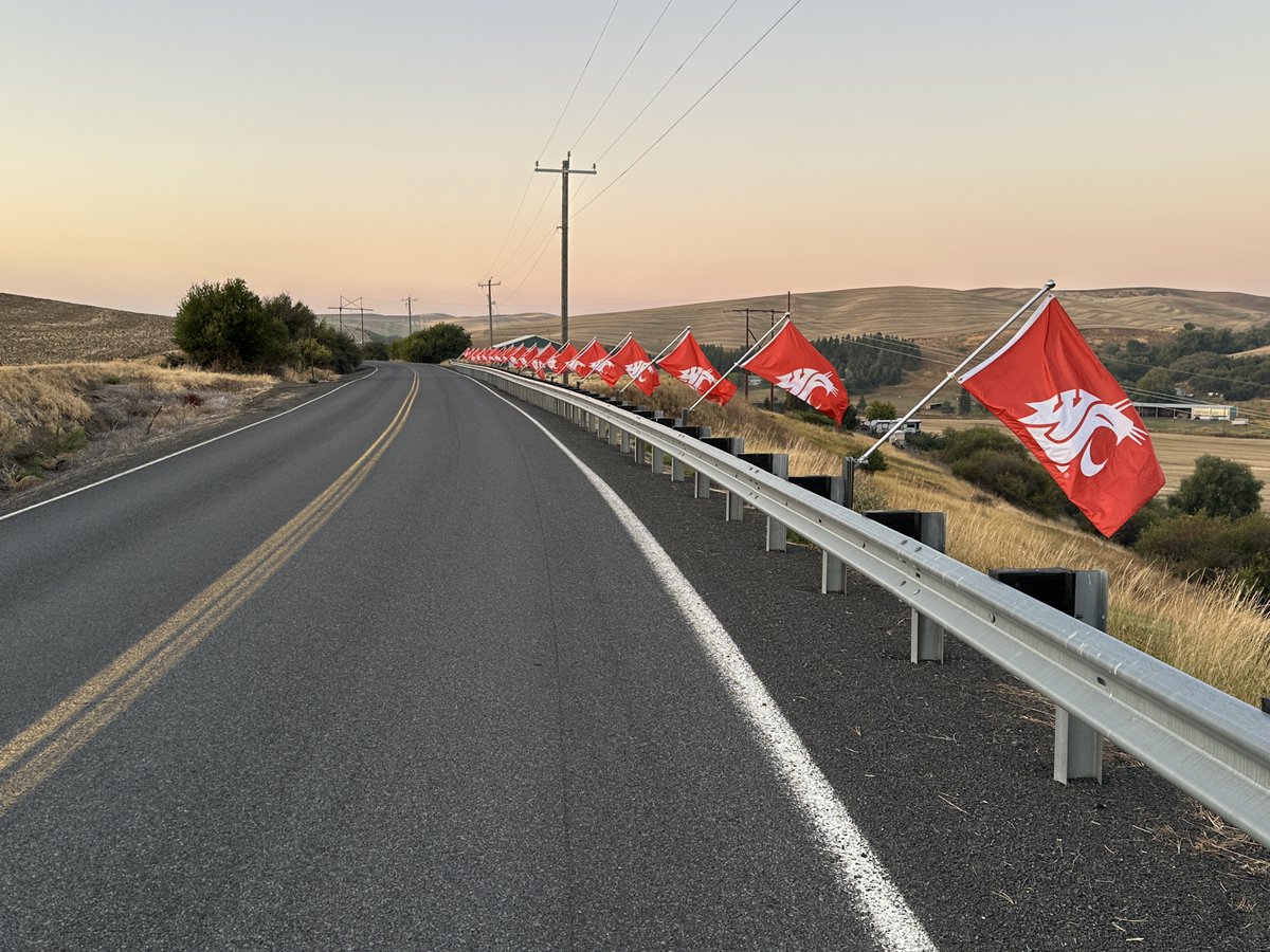 WSUPullman's tweet image. This morning, Andrew Foss (’06, Hospitality Business Management) continued a tradition of showing off Cougar pride by placing #WSU flags outside his home, a few miles southwest of Pullman. “I started with American flags on #4thofJuly and #MemorialDay, and after some time doing