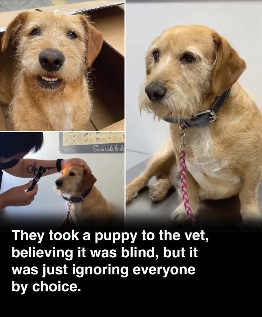 This is absolutely bloody fantastic.