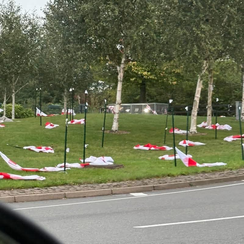 Tommy Robinson 🇬🇧 tweet media