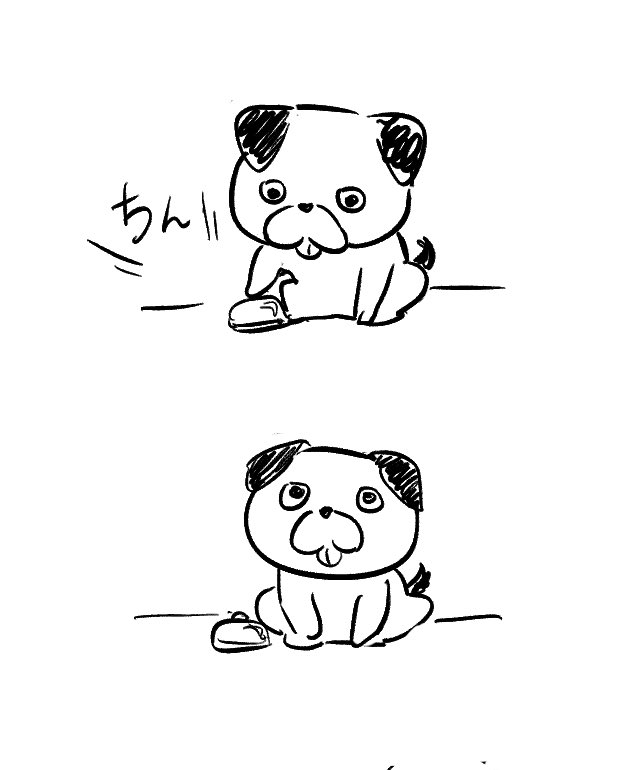 🛎️犬ルリ