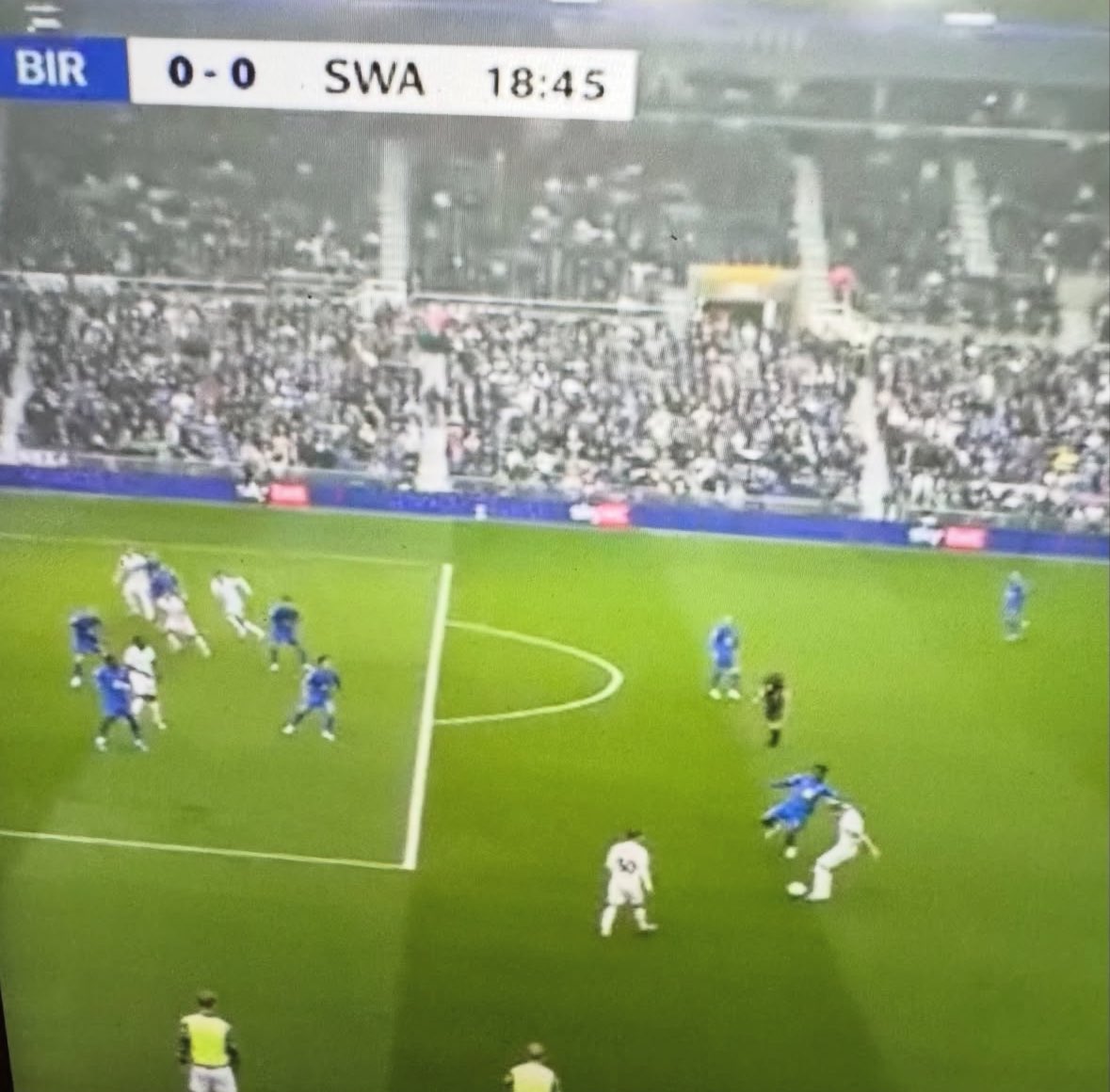 Only Swans tweet media