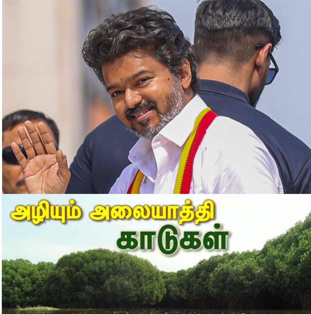Peruvazhuthiyar's tweet image. விவாதங்கள் உருவாகட்டும்..! அதிகார வர்க்கங்கள் செயல்படட்டும்...!

நாகப்பட்டினத்தில் விஜய் அவர்களுடைய பிரச்சாரத்தில் அலையாத்தி காடுகள் சம்பந்தமாக விஜய் பேசி இருந்தார்.

கடல் அரிப்புகளை தடுப்பதற்காக இயற்கை தந்தை கொடை தான் அலையாத்தி காடுகள். இந்த அலையாத்தி காடுகள் இருப்பதால் தான்…