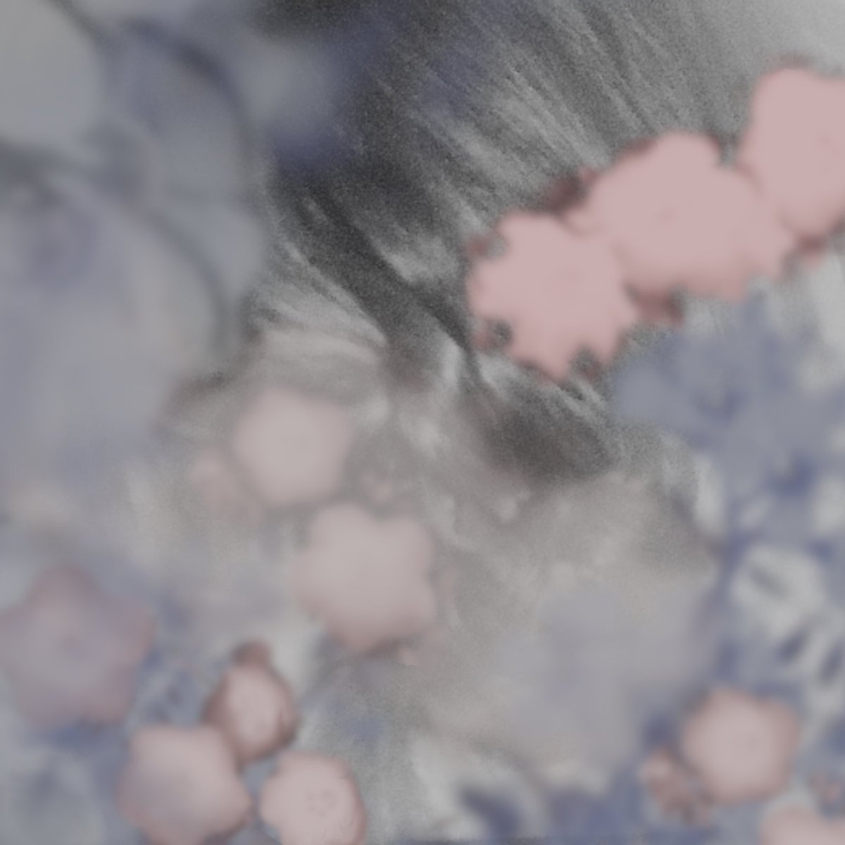 T̵E̵S̵T̵CAR̵D R̵E̵COR̵DS̵ tweet media