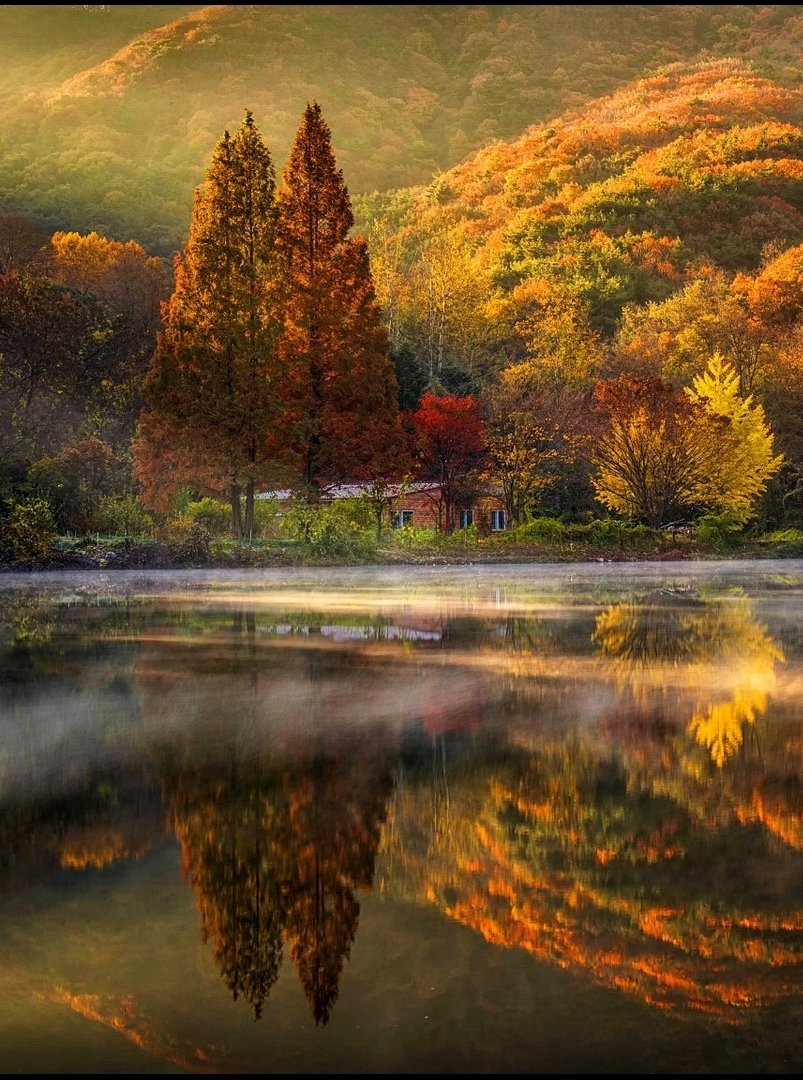 Beautiful colorful autumn forest mirroring on a misty lake in the morning, located in Vermont, US  🇺🇸