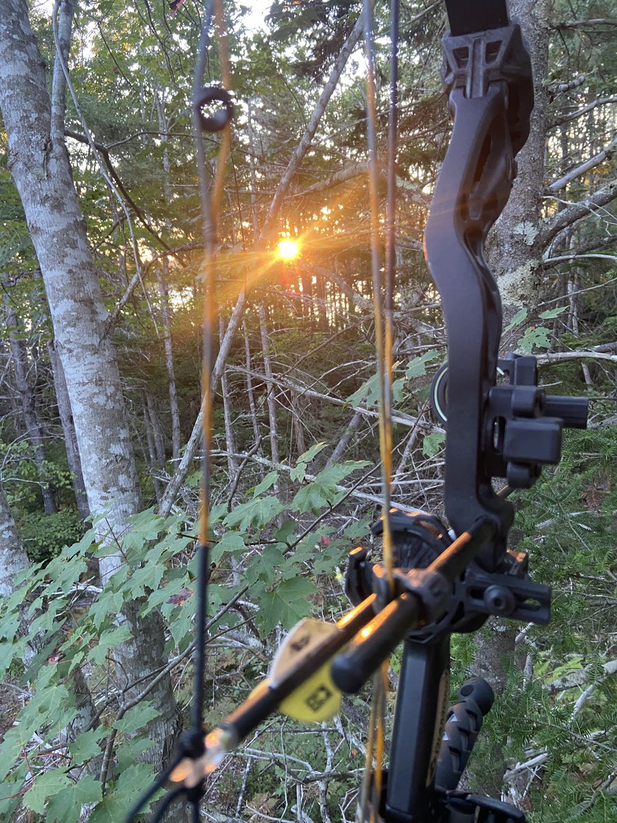 It’s chilly this morning, the suns warmth is quite nice.