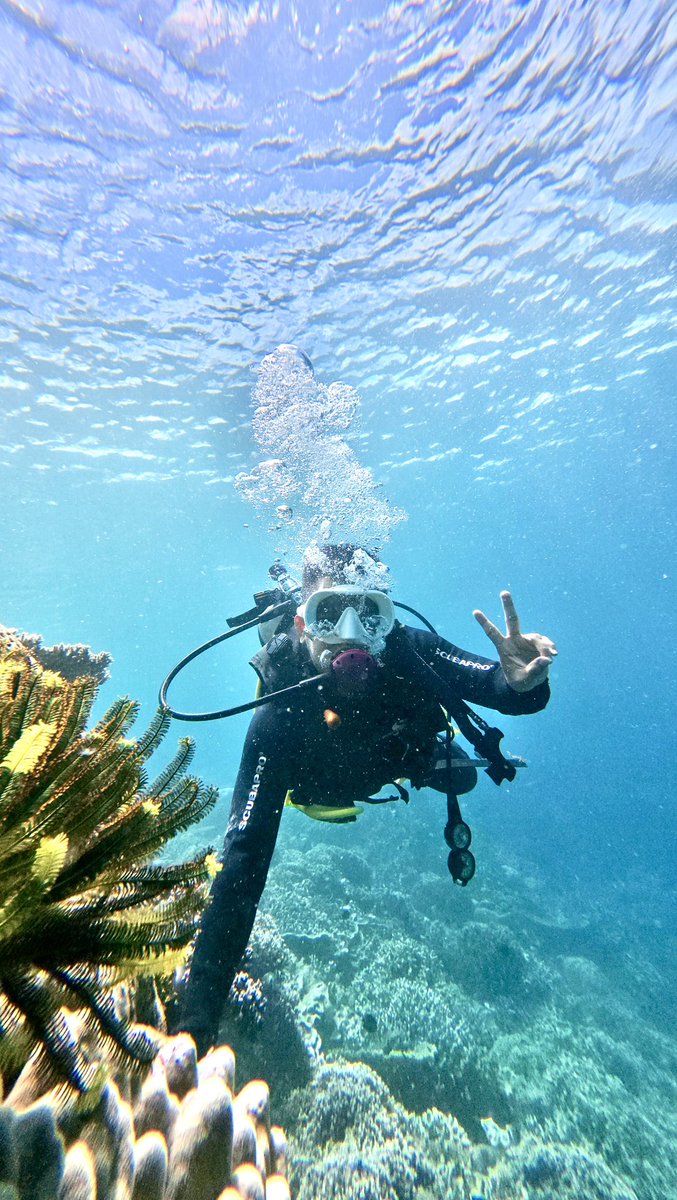 0xCB.base.eth 🤖 tweet media