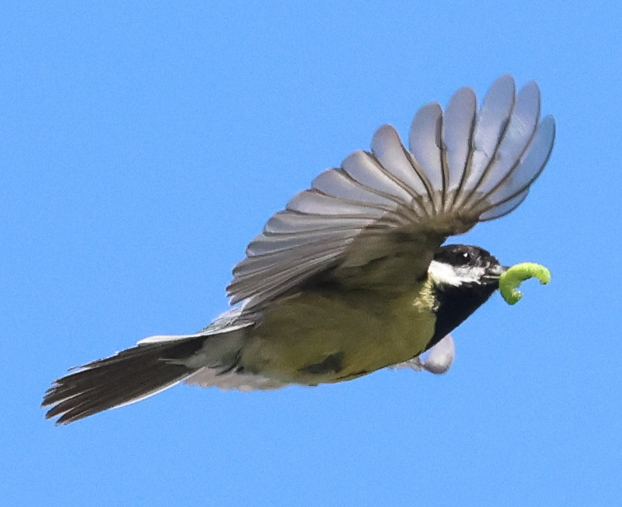 Missing the spring and summer already, but autumn and winter are magical in their own right. Bring it on.