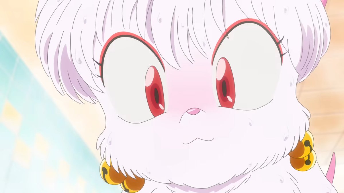 😻🩷🐈 #shampoo #ranma @ranma_pr #anime, image size:1200x675