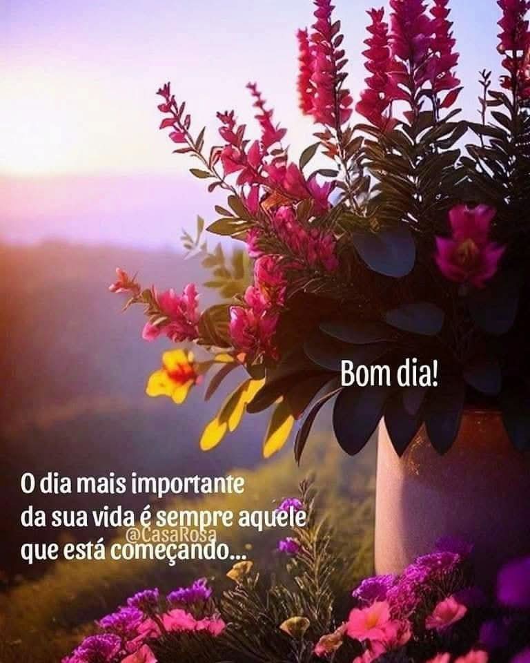 Cristiane Alves🌺🌼 (@crisgam77) on Twitter photo 