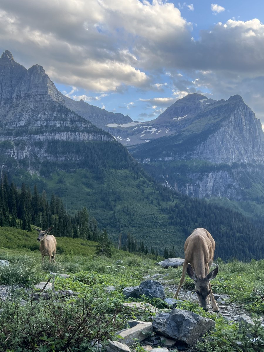 ⁦<a href="/GlacierNPS/">Glacier National Park</a>⁩ ⁦<a href="/earthcurated/">Earth</a>⁩ ⁦<a href="/earth/">Earth</a>⁩