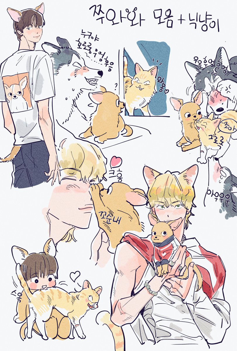 kkaedol2's tweet photo. 쭈와와 모음 +닉냥이 https://t.co/6m2sgmqPwo