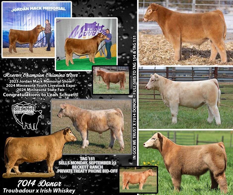 ❗️1️⃣ DAY UNTIL SALE DAY❗️

New or old, each of these donors continue to write their own chapters in our program’s history book!

•Tag 151 | Monopoly x 506 | Chianina Composite

•Tag 154 | In God We Trust x 7104 | Chianina

🗓️Sunday, September 21st || 🔗 sconlinesales.com/Bids/AuctionsL…