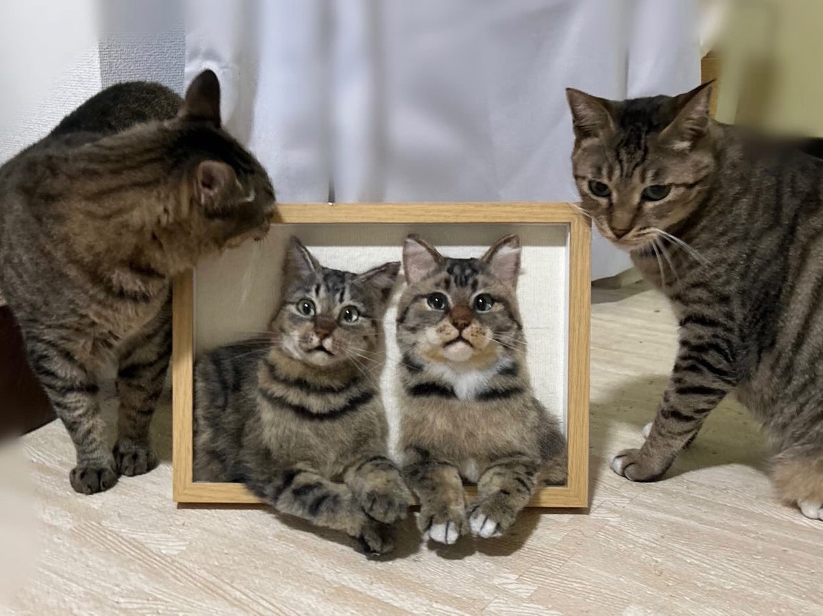 mochi@羊毛フェルト (@mochi12572090) / Posts / X